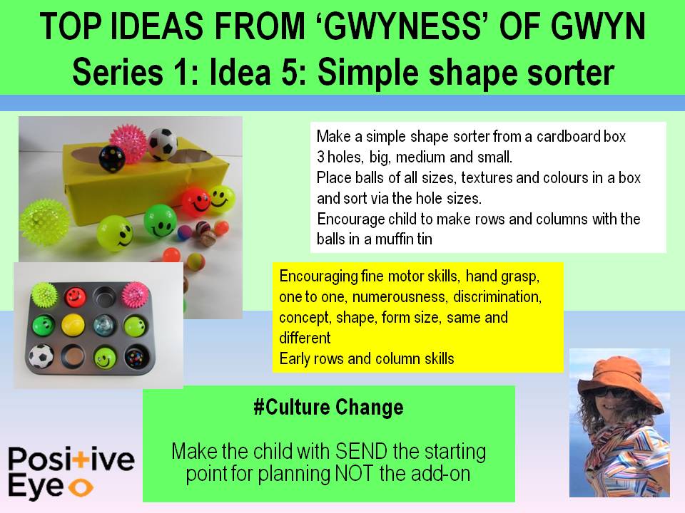 Positive Eye Idea 5 Simple Shape Sorter