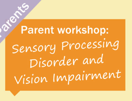 Parent Workshop – Sensory Processing Disorder and Vision Impairment