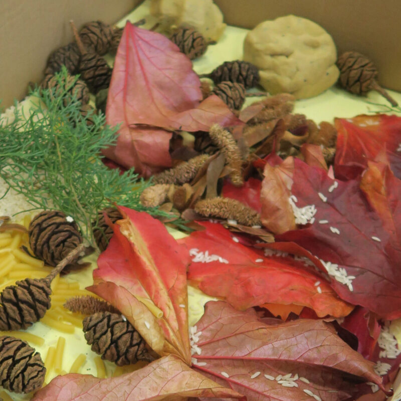 sensory-box